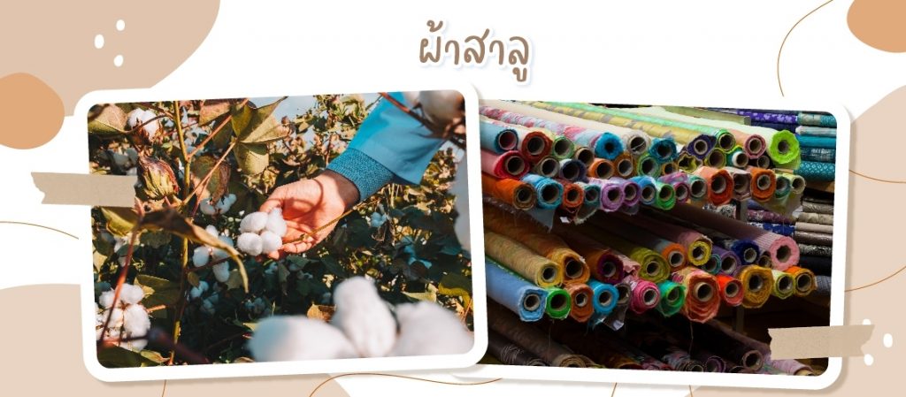 line_album_%e0%b8%9c%e0%b9%89%e0%b8%b2%e0%b8%ad%e0%b9%89%e0%b8%ad%e0%b8%a1%e0%b9%83%e0%b8%8a%e0%b9%89%e0%b8%94%e0%b8%b5-2567_%e0%b9%92%e0%b9%94%e0%b9%90%e0%b9%91%e0%b9%91%e0%b9%94_4