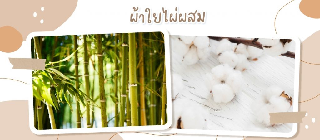 line_album_%e0%b8%9c%e0%b9%89%e0%b8%b2%e0%b8%ad%e0%b9%89%e0%b8%ad%e0%b8%a1%e0%b9%83%e0%b8%8a%e0%b9%89%e0%b8%94%e0%b8%b5-2567_%e0%b9%92%e0%b9%94%e0%b9%90%e0%b9%91%e0%b9%91%e0%b9%94_5