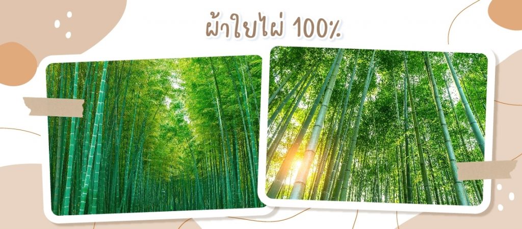 line_album_%e0%b8%9c%e0%b9%89%e0%b8%b2%e0%b8%ad%e0%b9%89%e0%b8%ad%e0%b8%a1%e0%b9%83%e0%b8%8a%e0%b9%89%e0%b8%94%e0%b8%b5-2567_%e0%b9%92%e0%b9%94%e0%b9%90%e0%b9%91%e0%b9%91%e0%b9%94_6