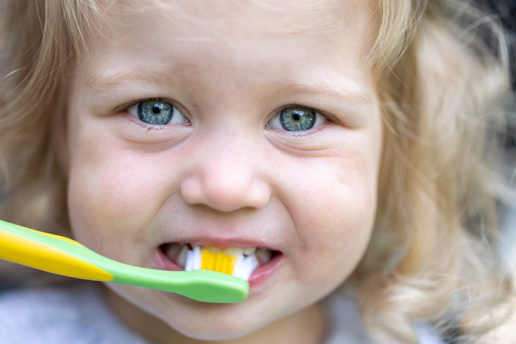 Portrait of a little girl with big blue eyes brushing her teeth.