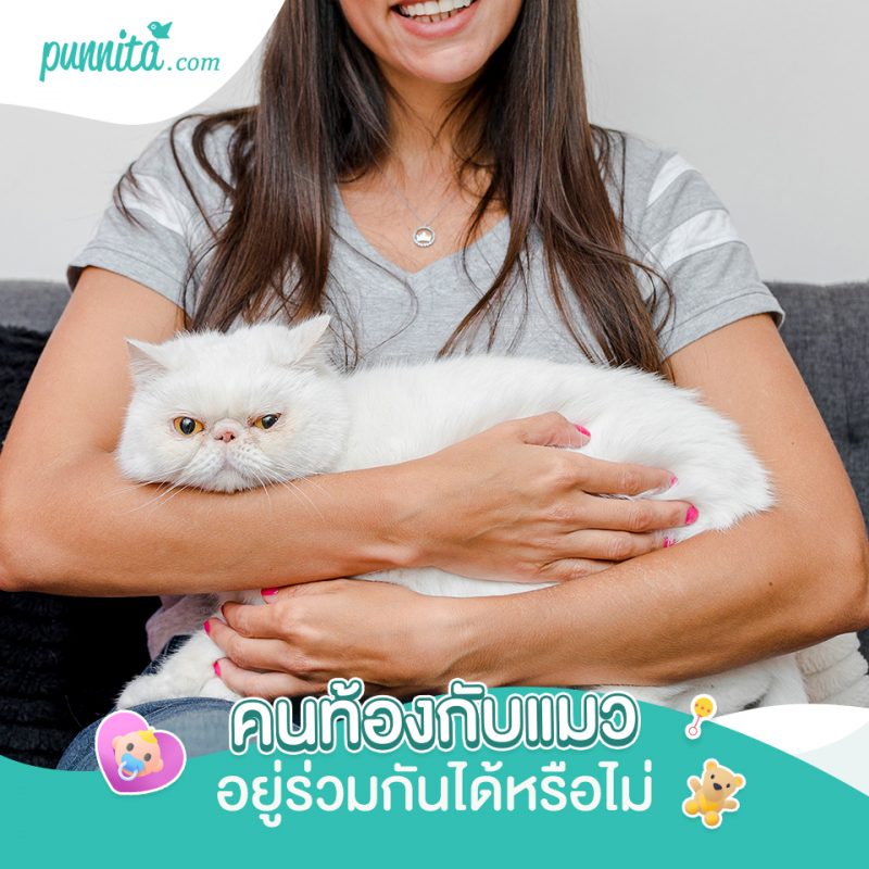 คนท้องกับแมว อยู่ร่วมกันได้หรือไม่