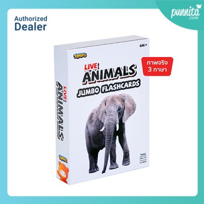 Toybies บัตรคำยักษ์พิมพ์ด้วยหมึกถั่วเหลือง หมวด Animal 3 ภาษา ไทย จีน อังกฤษ